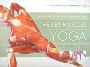 (PDF DOWNLOAD) The Key Muscles of Yoga by Ray Long