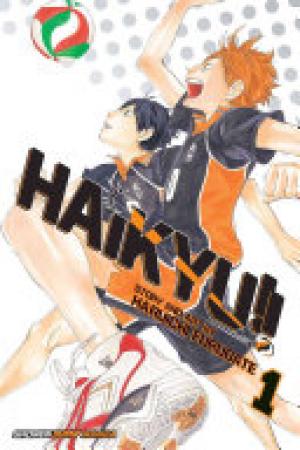 (PDF DOWNLOAD) Haikyu!! by Haruichi Furudate