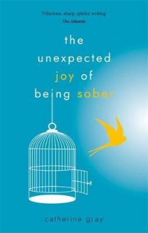 The Unexpected Joy of Being Sober Free Download