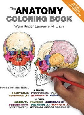 (PDF DOWNLOAD) The Anatomy Coloring Book by Wynn Kapit