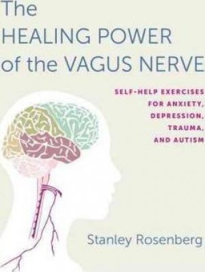 Accessing the Healing Power of the Vagus Nerve Free Download