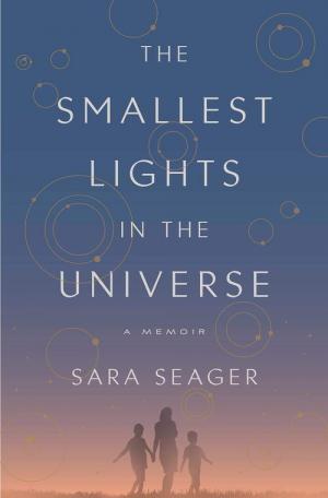 The Smallest Lights in the Universe Free Download