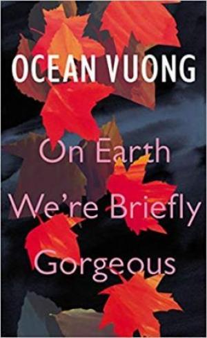 On Earth We're Briefly Gorgeous Free Download