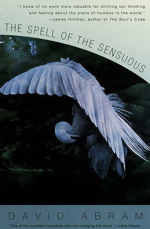The Spell of the Sensuous Free Download