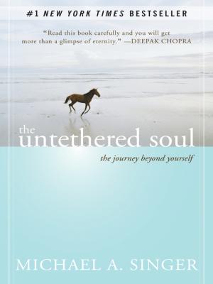 The Untethered Soul Free Download