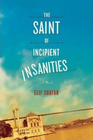 The Saint of Incipient Insanities Free Download