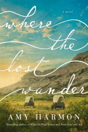 Where the Lost Wander Free Download