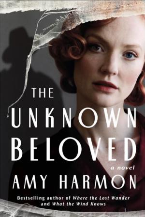 The Unknown Beloved by Amy Harmon Free Download