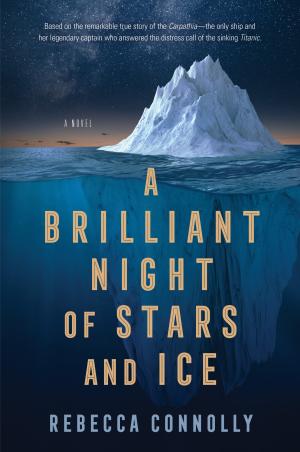 A Brilliant Night of Stars and Ice Free Download