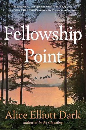 Fellowship Point by Alice Elliott Dark Free Download