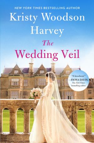 The Wedding Veil by Kristy Woodson Harvey Free Download