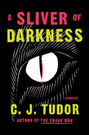 A Sliver of Darkness by C.J. Tudor Free Download