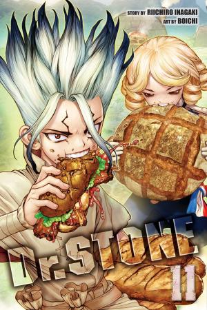Dr. STONE, Vol. 11 by Riichiro Inagaki Free Download
