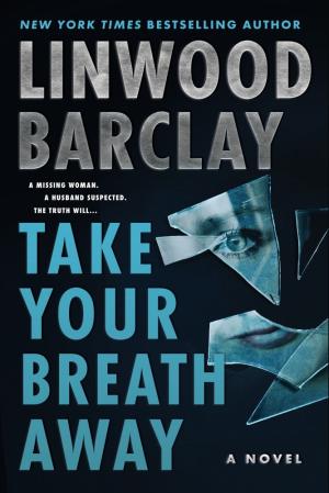 Take Your Breath Away Free Download