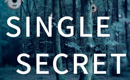 [PDF] Every Single Secret by Emily Carpenter Free Download