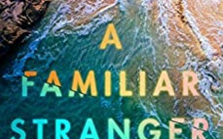 [PDF] A Familiar Stranger by A.R. Torre Free Download