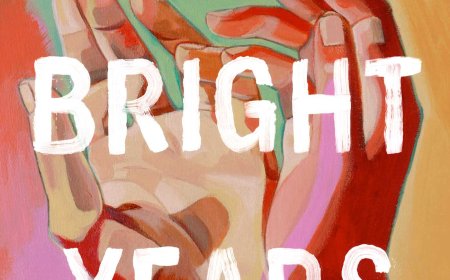 [PDF] The Bright Years by Sarah Damoff Free Download