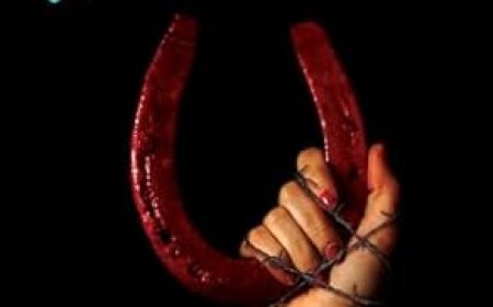 [PDF] The Unmothers by Leslie J. Anderson Free Download