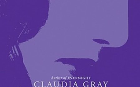[PDF] Evernight #2 Stargazer by Claudia Gray Free Download