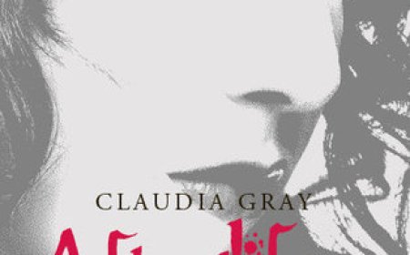 [PDF] Evernight #4 Afterlife by Claudia Gray Free Download