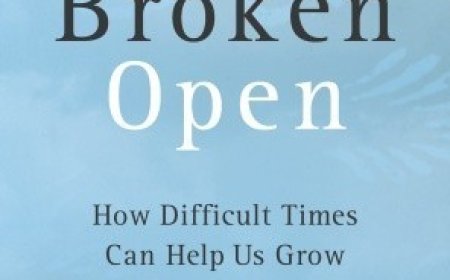 [PDF] Broken Open: How Difficult Times Can Help Us Grow by Elizabeth Lesser Free Download