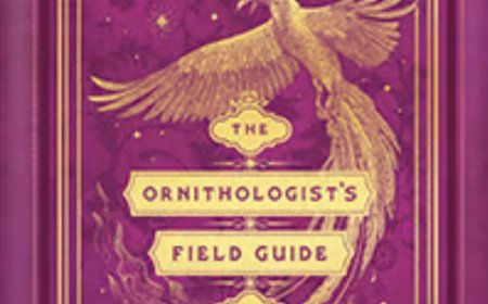 [PDF] Love's Academic #1 The Ornithologist's Field Guide to Love by India Holton Free Download