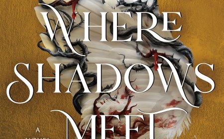 [PDF] Where Shadows Meet #1 Where Shadows Meet by Patrice Caldwell Free Download