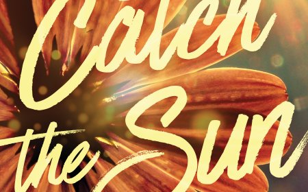 [PDF] Catch the Sun by Jennifer Hartmann Free Download