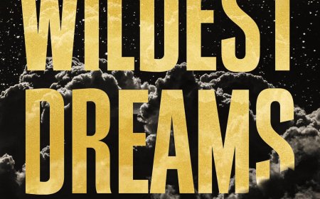 [PDF] Forbidden Love #2 Wildest Dreams by L.J. Shen Free Download