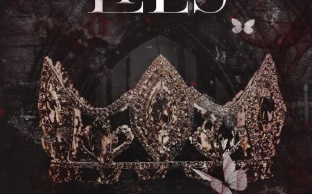 [PDF] Lies & Truths Duet #1 All The Lies by Rina Kent Free Download