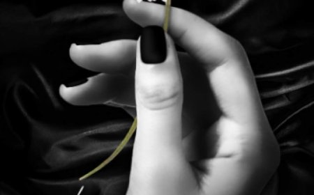 [PDF] The Bleeding Hearts #1 Torment: Part One by Dylan Page Free Download