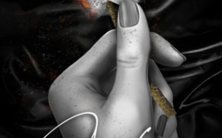 [PDF] The Bleeding Hearts #3 Ashes by Dylan Page Free Download