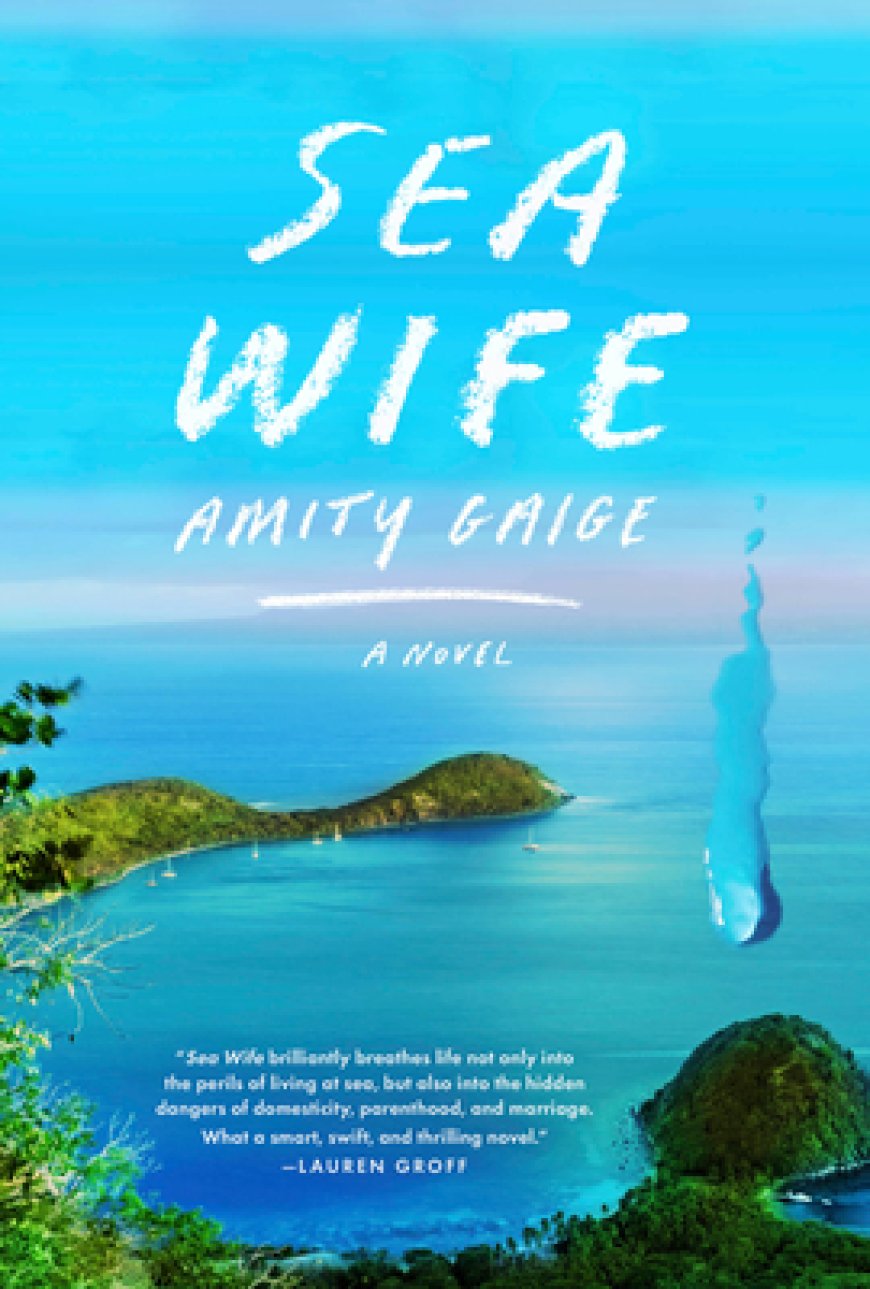 [PDF] Sea Wife by Amity Gaige Free Download