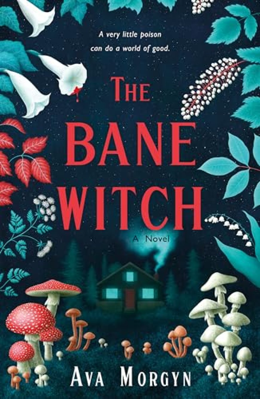 [PDF] The Bane Witch by Ava Morgyn Free Download