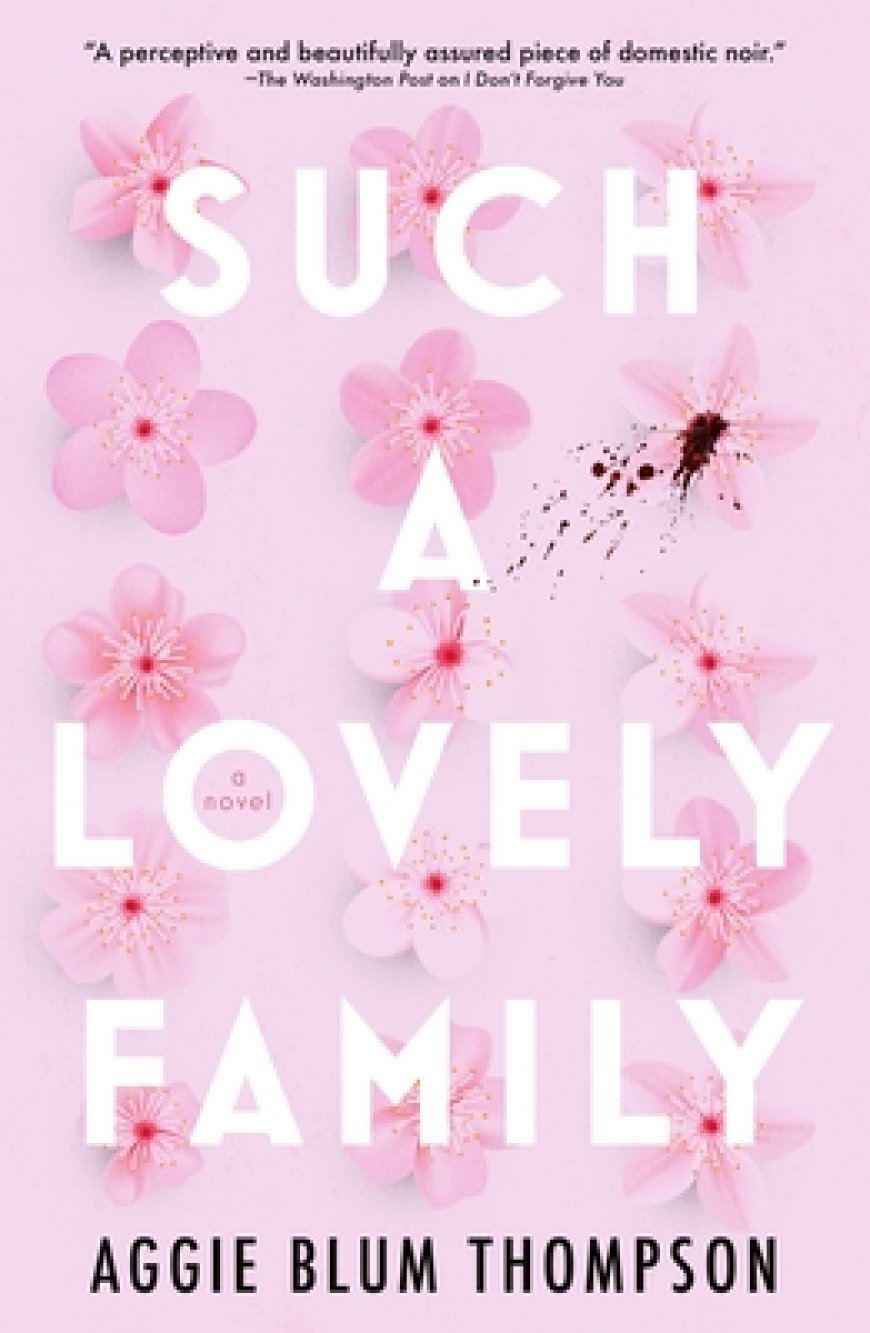 [PDF] Such a Lovely Family by Aggie Blum Thompson Free Download