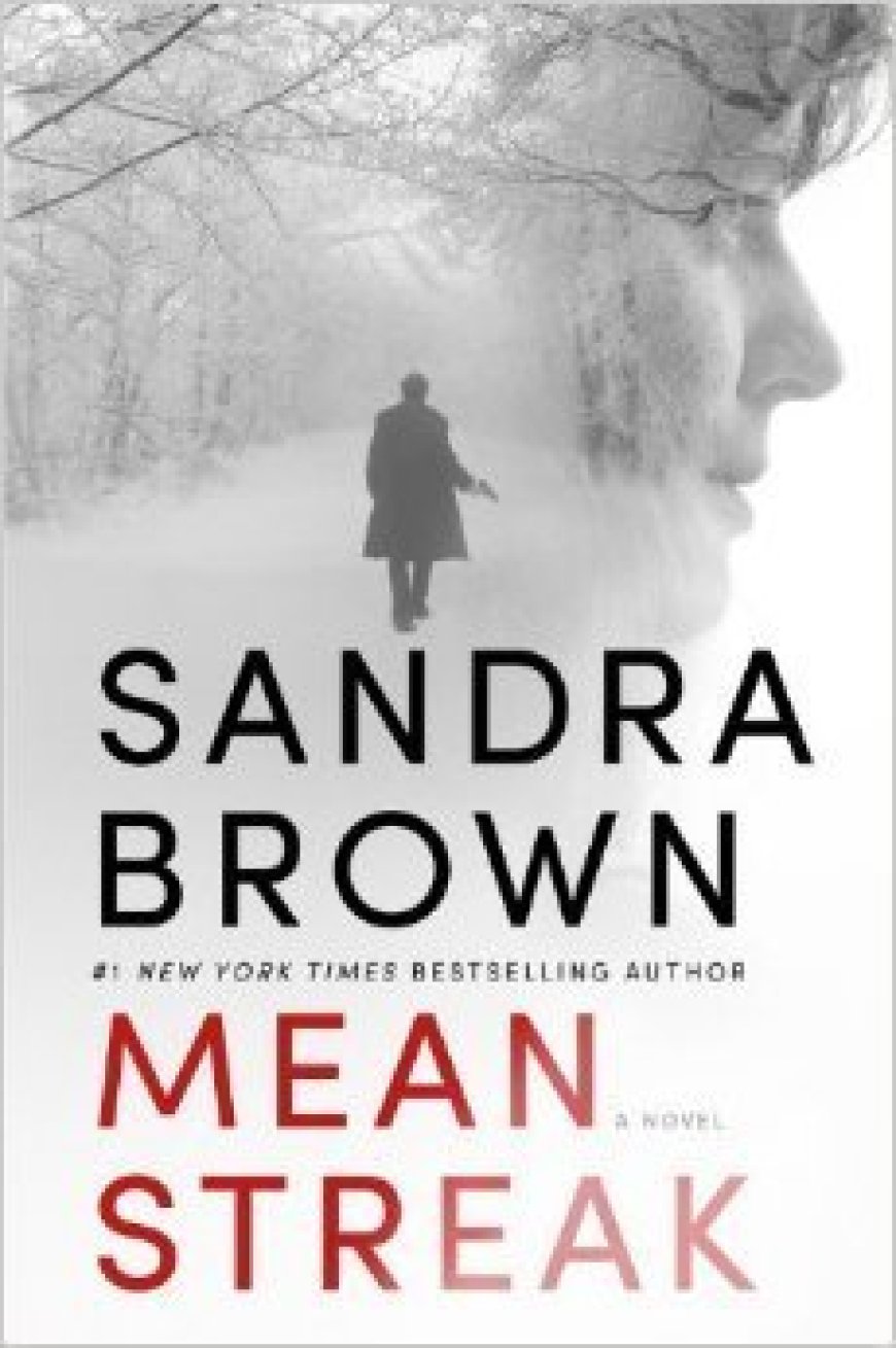 [PDF] Mean Streak by Sandra Brown Free Download