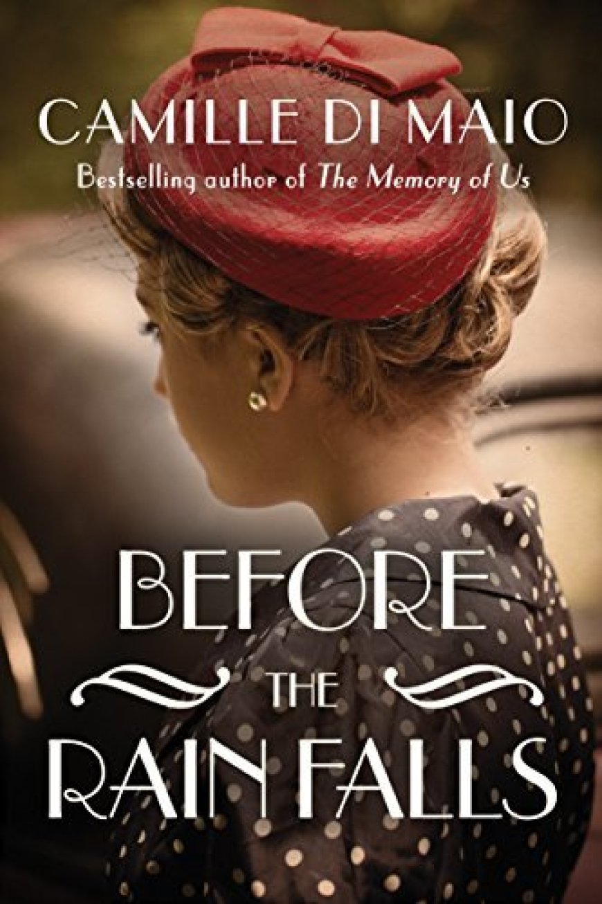 [PDF] Before the Rain Falls by Camille Di Maio Free Download