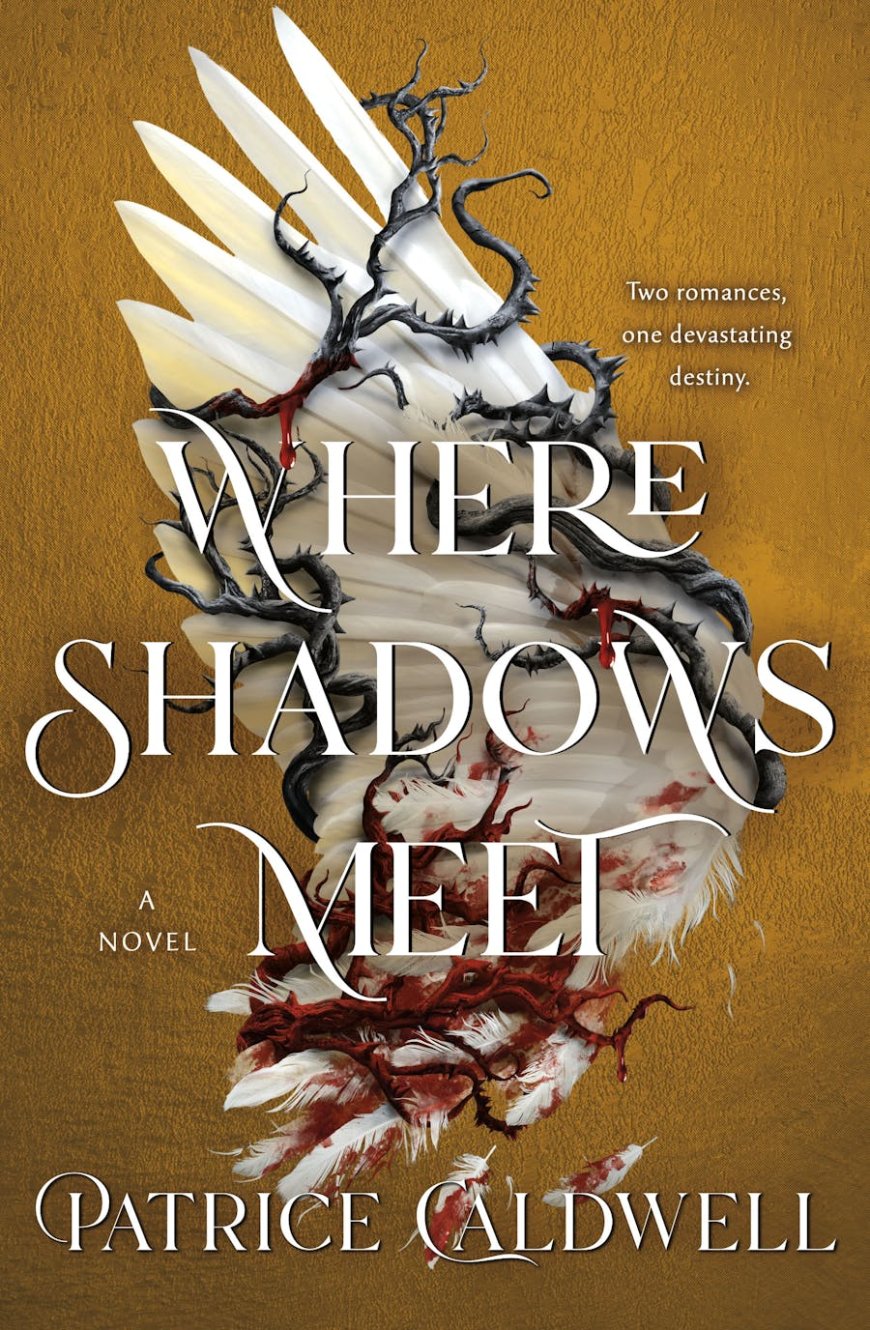 [PDF] Where Shadows Meet #1 Where Shadows Meet by Patrice Caldwell Free Download