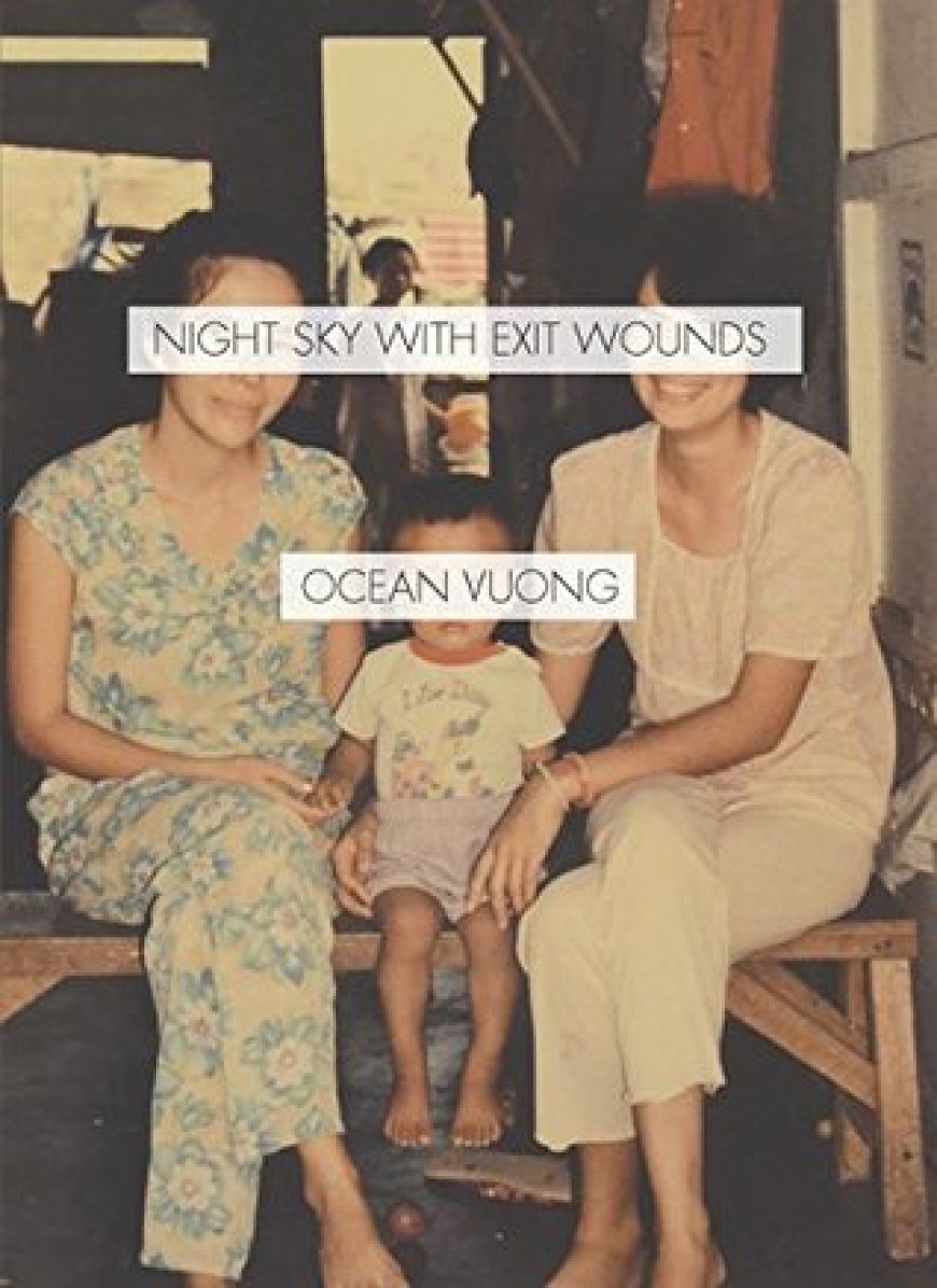 [PDF] Night Sky with Exit Wounds by Ocean Vuong Free Download