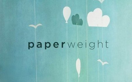 [PDF] Paperweight by Meg Haston Free Download