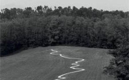 [PDF] Landscape and the Human Heart Trilogy #3 The Old Ways: A Journey on Foot by Robert Macfarlane