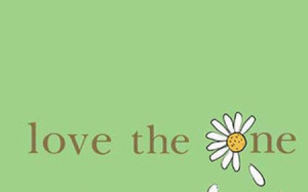 Free Download Love the One You're With by Emily Giffin Free Download