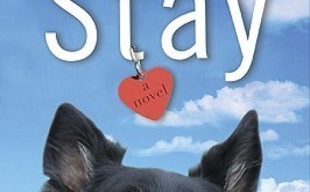 [PDF] Stay by Allie Larkin , Allison Larkin Free Download