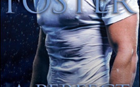 [PDF] Men Who Walk the Edge of Honor #4 A Perfect Storm by Lori Foster Free Download