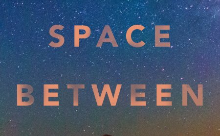 [PDF] The Space Between by Dete Meserve Free Download