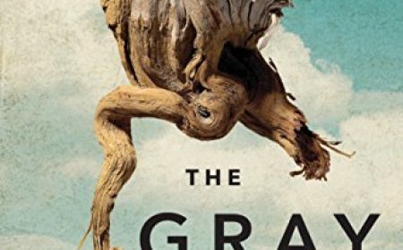 [PDF] The Gray House by Mariam Petrosyan Free Download