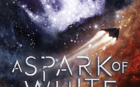 [PDF] The Celestial Trilogy #1 A Spark of White Fire by Sangu Mandanna Free Download