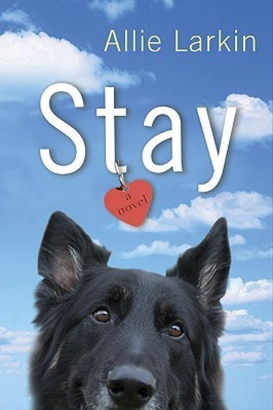 [PDF] Stay by Allie Larkin , Allison Larkin Free Download