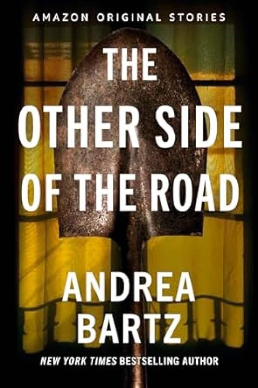 [PDF] Never Tell Collection #3 The Other Side of the Road by Andrea Bartz Free Download