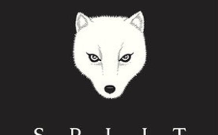 [PDF] Split Tooth by Tanya Tagaq Free Download